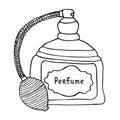 Vintage perfume bottle. Artistic line art sketch